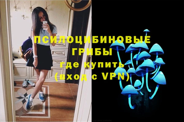 COCAINE Инсар