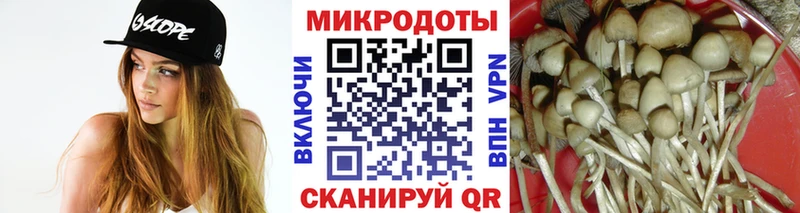 Псилоцибиновые грибы GOLDEN TEACHER  Купить закладки  Верхняя Салда 
